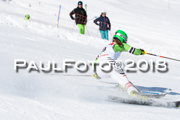 Int. Deutsche Meisterschaft Slalom 25.03.2018