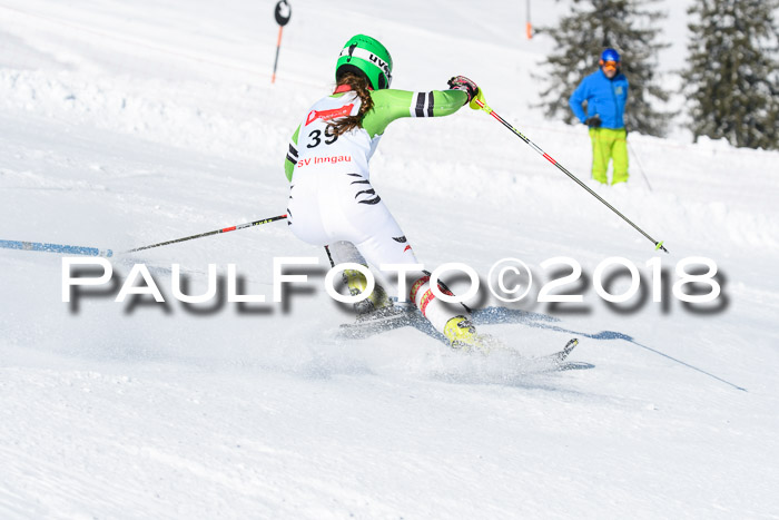 Int. Deutsche Meisterschaft Slalom 25.03.2018