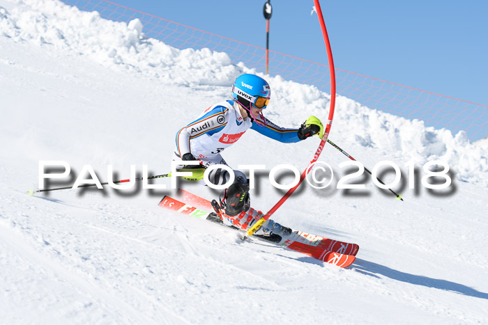 Int. Deutsche Meisterschaft Slalom 25.03.2018