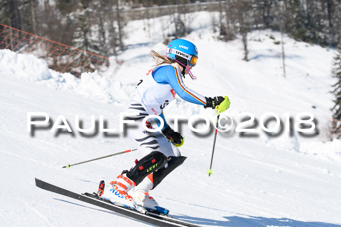 Int. Deutsche Meisterschaft Slalom 25.03.2018