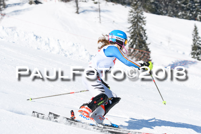 Int. Deutsche Meisterschaft Slalom 25.03.2018
