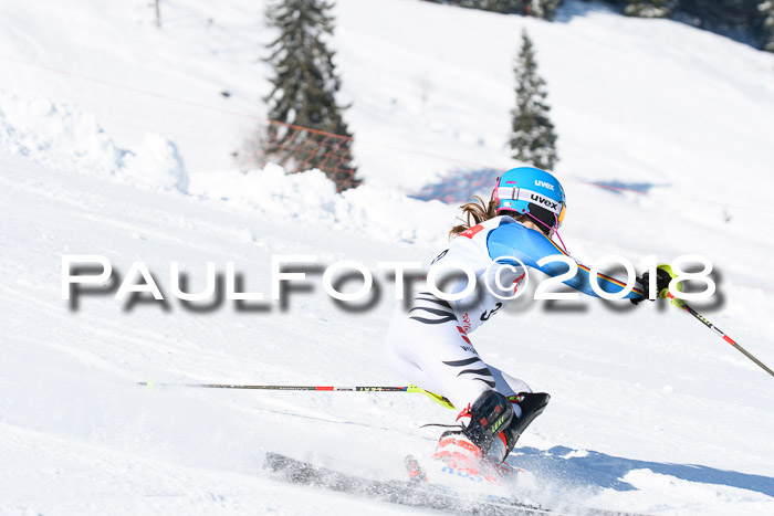 Int. Deutsche Meisterschaft Slalom 25.03.2018