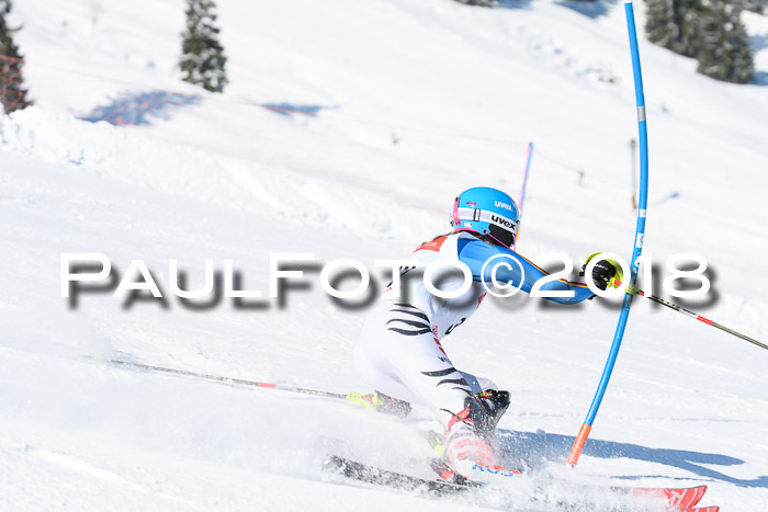 Int. Deutsche Meisterschaft Slalom 25.03.2018