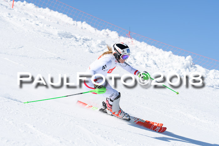Int. Deutsche Meisterschaft Slalom 25.03.2018