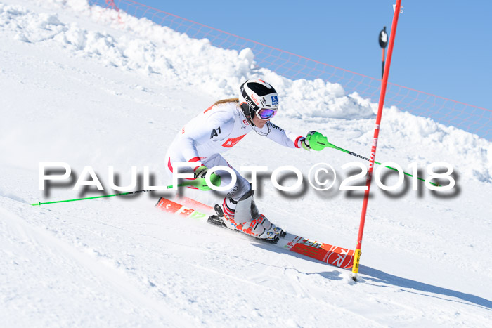 Int. Deutsche Meisterschaft Slalom 25.03.2018
