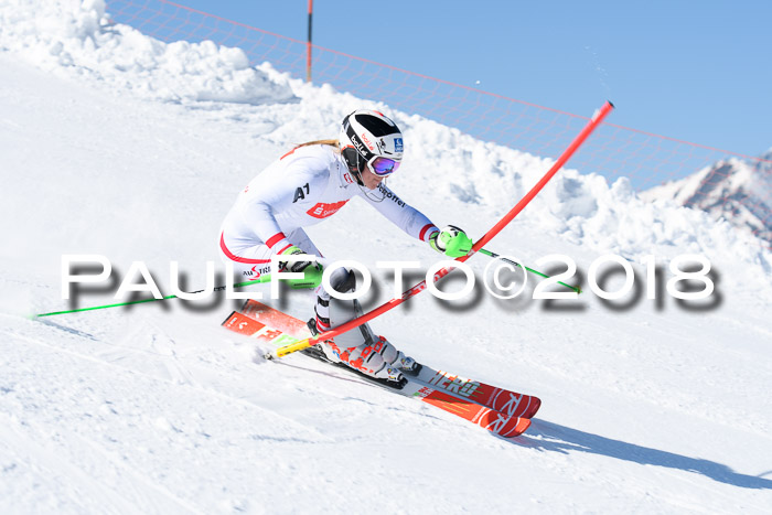 Int. Deutsche Meisterschaft Slalom 25.03.2018