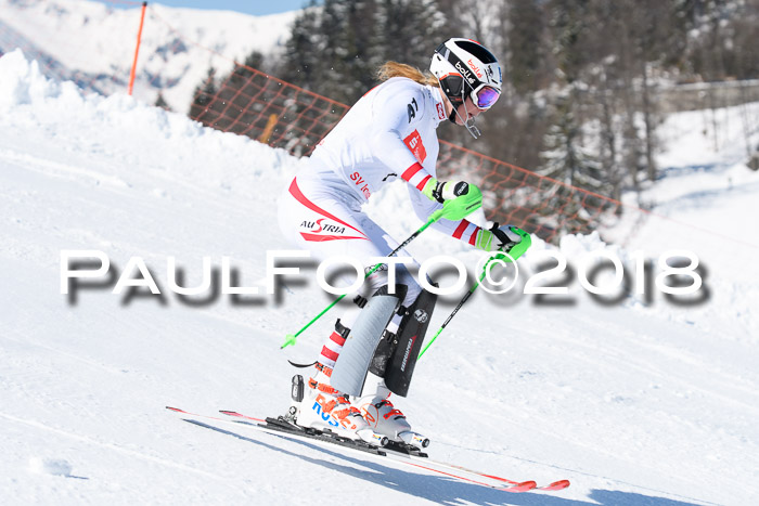 Int. Deutsche Meisterschaft Slalom 25.03.2018