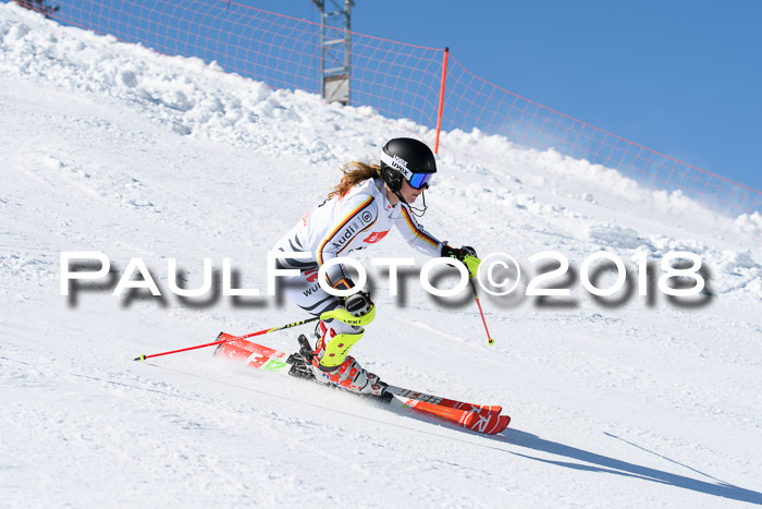 Int. Deutsche Meisterschaft Slalom 25.03.2018