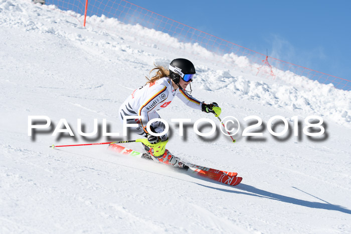 Int. Deutsche Meisterschaft Slalom 25.03.2018