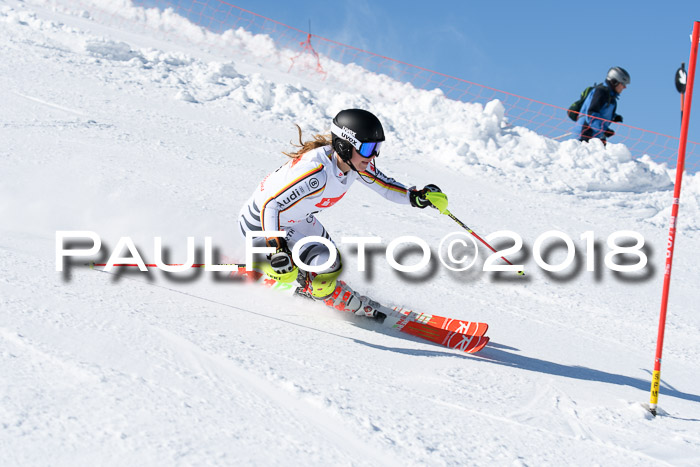 Int. Deutsche Meisterschaft Slalom 25.03.2018