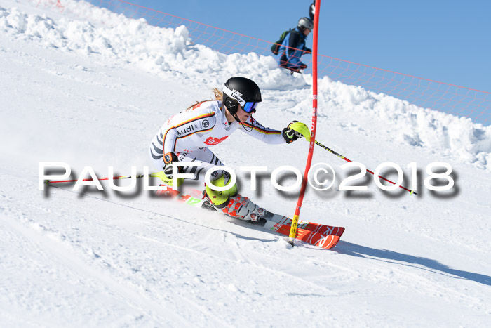 Int. Deutsche Meisterschaft Slalom 25.03.2018