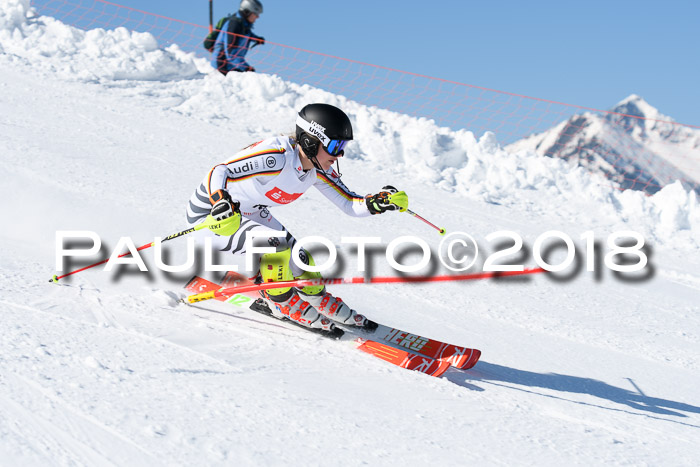 Int. Deutsche Meisterschaft Slalom 25.03.2018