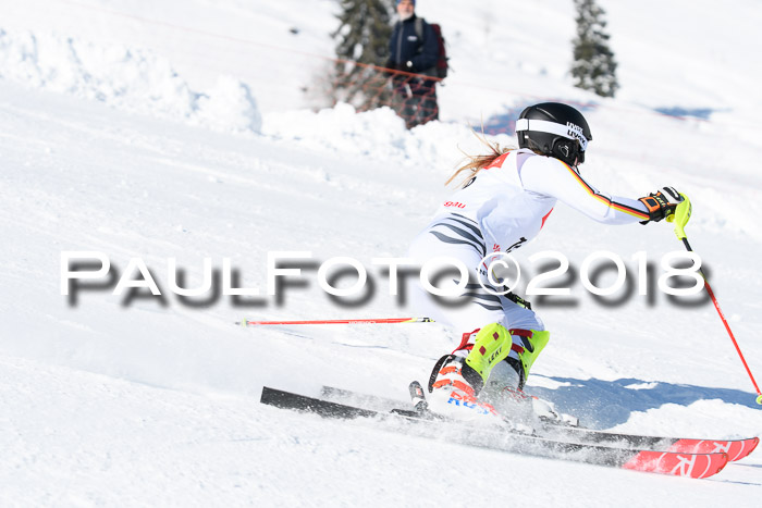 Int. Deutsche Meisterschaft Slalom 25.03.2018