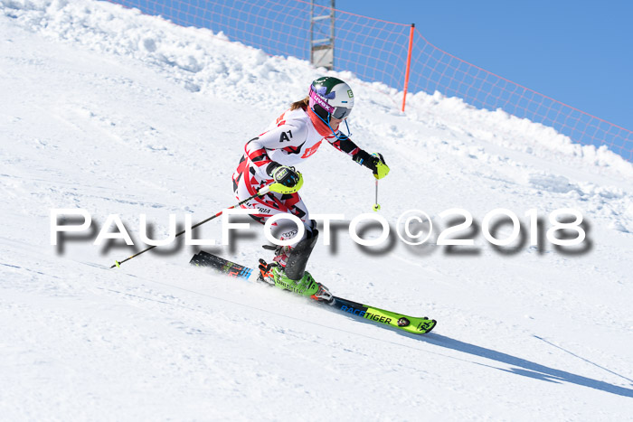 Int. Deutsche Meisterschaft Slalom 25.03.2018