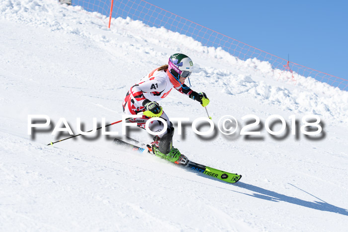 Int. Deutsche Meisterschaft Slalom 25.03.2018