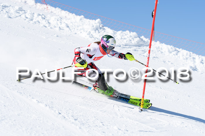 Int. Deutsche Meisterschaft Slalom 25.03.2018