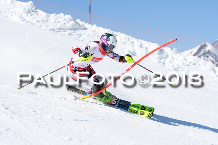 Int. Deutsche Meisterschaft Slalom 25.03.2018