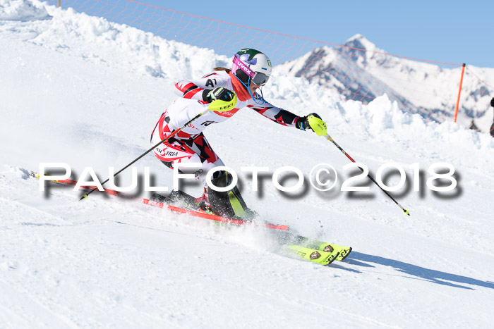 Int. Deutsche Meisterschaft Slalom 25.03.2018