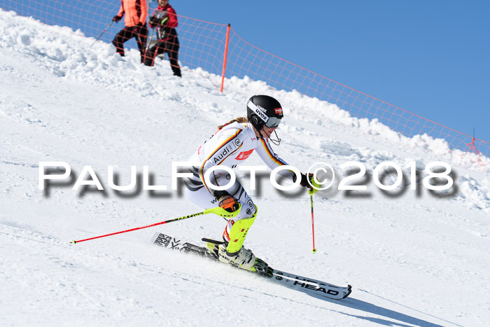 Int. Deutsche Meisterschaft Slalom 25.03.2018