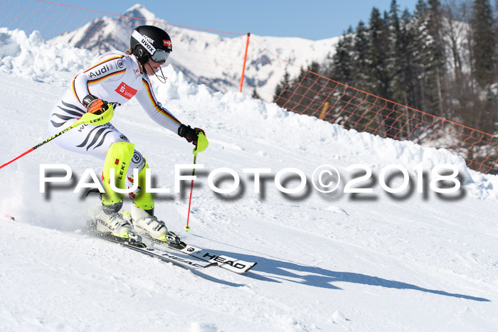 Int. Deutsche Meisterschaft Slalom 25.03.2018
