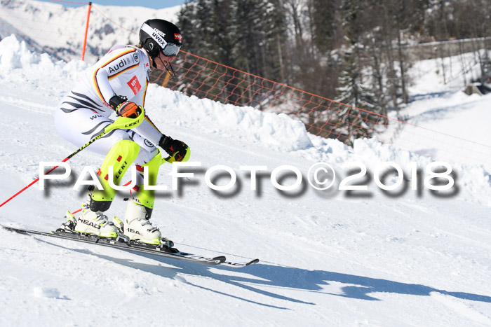 Int. Deutsche Meisterschaft Slalom 25.03.2018