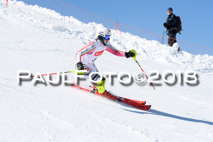 Int. Deutsche Meisterschaft Slalom 25.03.2018