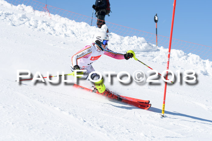 Int. Deutsche Meisterschaft Slalom 25.03.2018