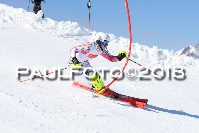 Int. Deutsche Meisterschaft Slalom 25.03.2018