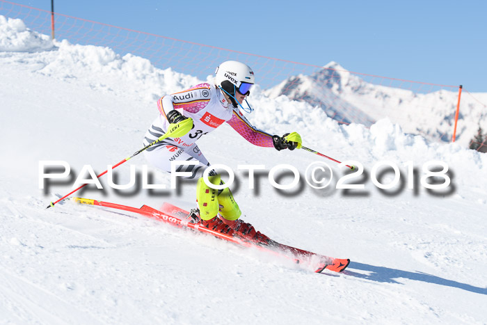 Int. Deutsche Meisterschaft Slalom 25.03.2018