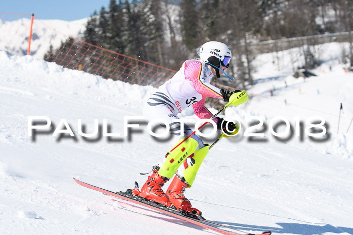 Int. Deutsche Meisterschaft Slalom 25.03.2018