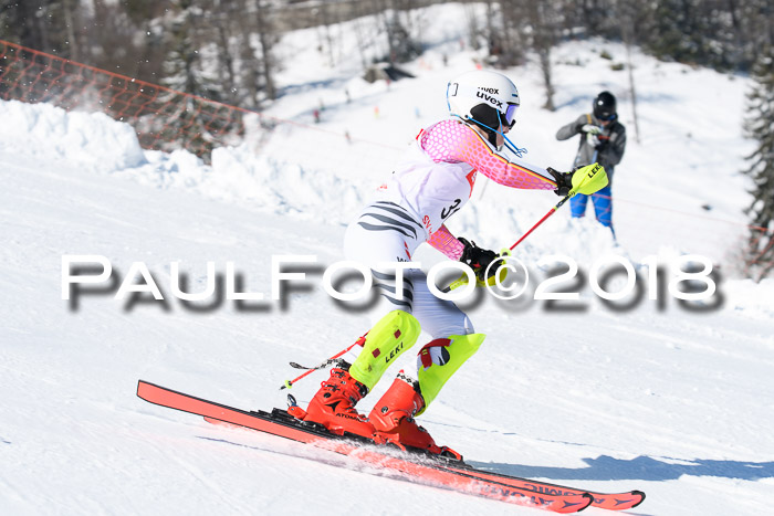 Int. Deutsche Meisterschaft Slalom 25.03.2018