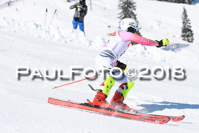 Int. Deutsche Meisterschaft Slalom 25.03.2018