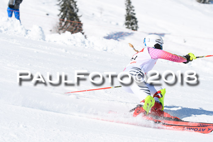 Int. Deutsche Meisterschaft Slalom 25.03.2018