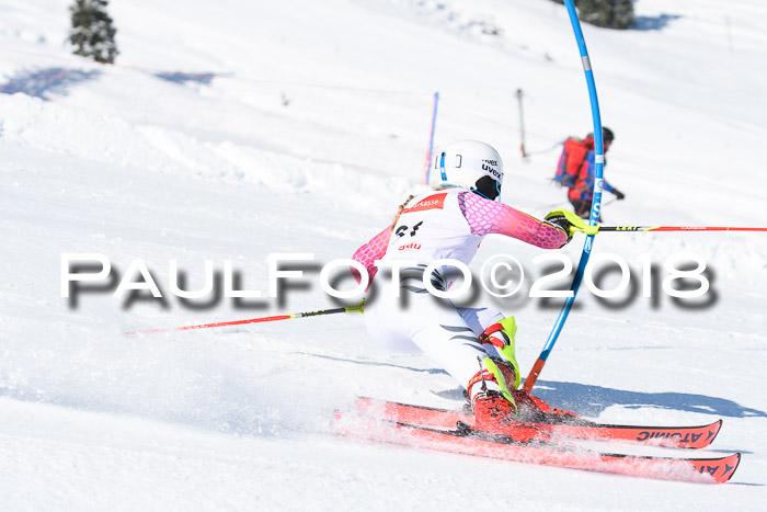 Int. Deutsche Meisterschaft Slalom 25.03.2018