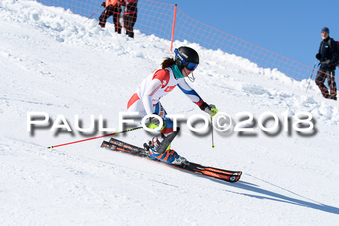 Int. Deutsche Meisterschaft Slalom 25.03.2018