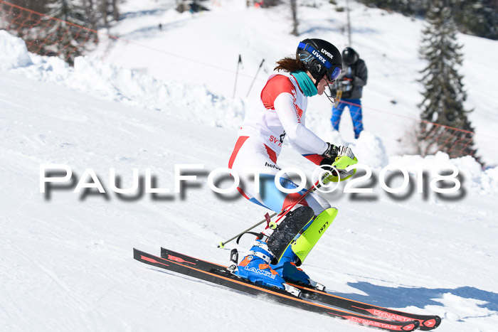 Int. Deutsche Meisterschaft Slalom 25.03.2018