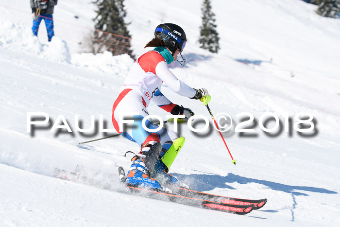 Int. Deutsche Meisterschaft Slalom 25.03.2018