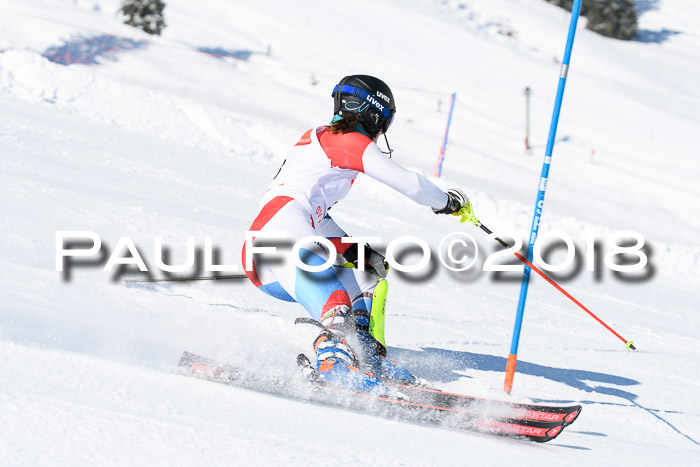 Int. Deutsche Meisterschaft Slalom 25.03.2018