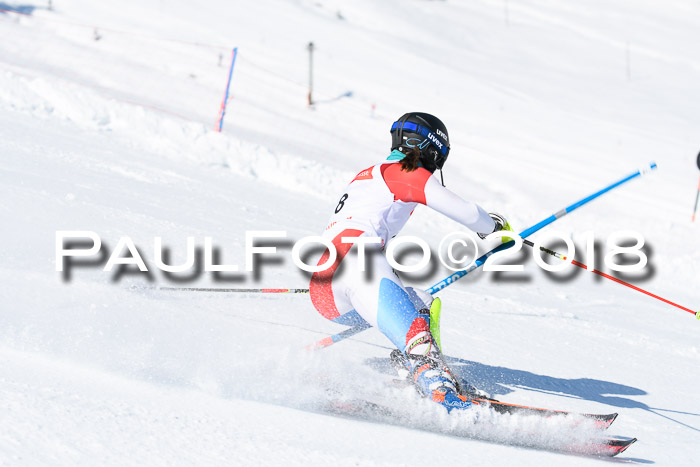 Int. Deutsche Meisterschaft Slalom 25.03.2018