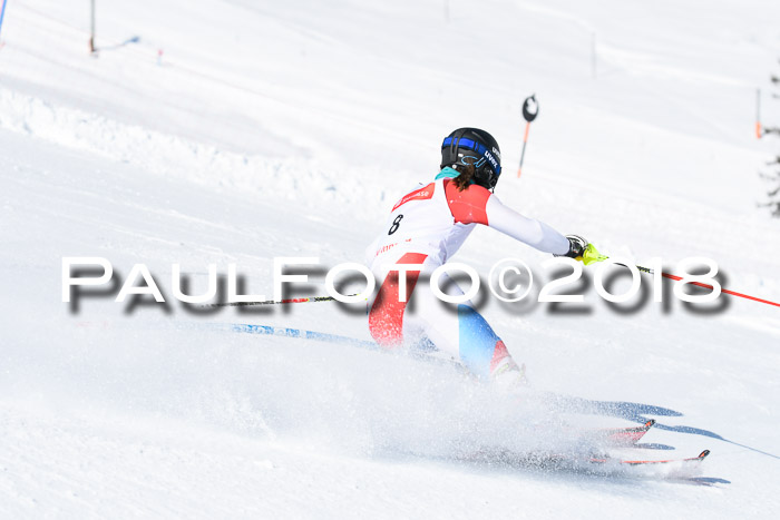 Int. Deutsche Meisterschaft Slalom 25.03.2018