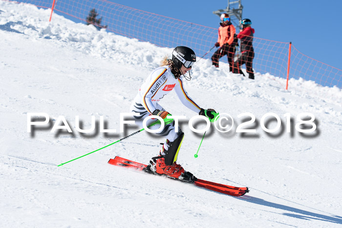 Int. Deutsche Meisterschaft Slalom 25.03.2018