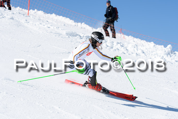 Int. Deutsche Meisterschaft Slalom 25.03.2018