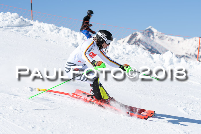 Int. Deutsche Meisterschaft Slalom 25.03.2018