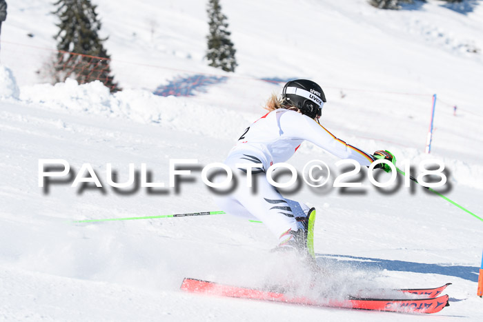 Int. Deutsche Meisterschaft Slalom 25.03.2018