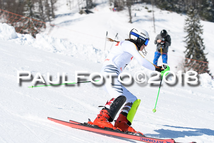 Int. Deutsche Meisterschaft Slalom 25.03.2018