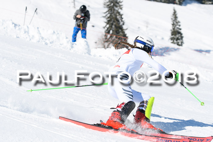 Int. Deutsche Meisterschaft Slalom 25.03.2018