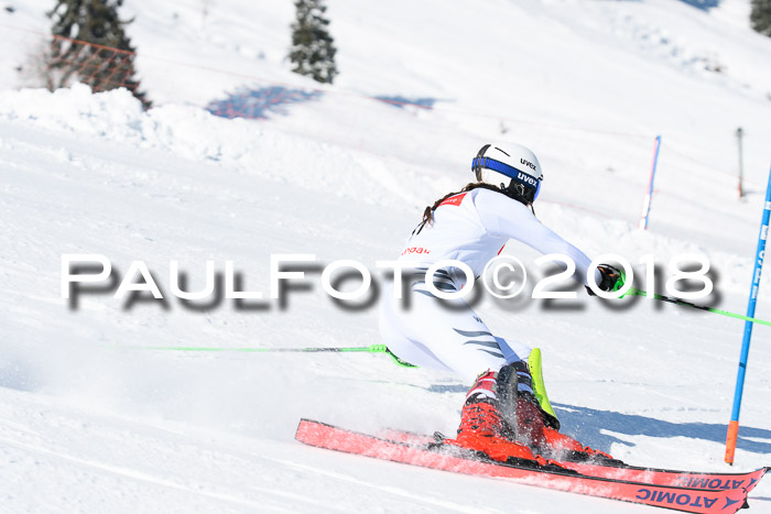 Int. Deutsche Meisterschaft Slalom 25.03.2018