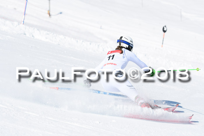 Int. Deutsche Meisterschaft Slalom 25.03.2018