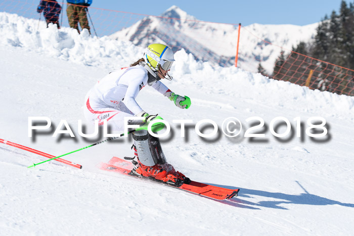 Int. Deutsche Meisterschaft Slalom 25.03.2018