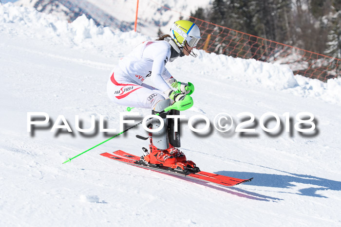 Int. Deutsche Meisterschaft Slalom 25.03.2018